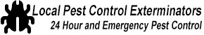 York Beach ME Pest Control Exterminators